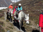 Pferdetrekking Ins Langtang Tal (Mit Oder Ohne Kinder), 11 Tage