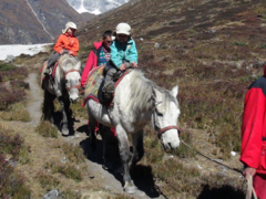 Horse Riding Trek to Langtang Valley (with children or without), 11 Days