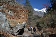 Pferdetrekking ins Langtang Tal (mit oder ohne Kinder), 11 Tage