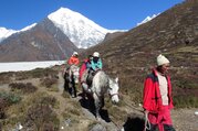 Pferdetrekking ins Langtang Tal (mit oder ohne Kinder), 11 Tage