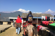 Pferdetrekking zum Annapurna Panorama (mit oder ohne Kinder), 10 Tage