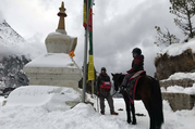 Pferdetrekking zum Everest Panorama (mit oder ohne Kinder), 10 Tage