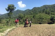 Pferdetrekking zum Annapurna Panorama (mit oder ohne Kinder), 10 Tage