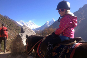 Pferdetrekking zum Everest Panorama (mit oder ohne Kinder), 10 Tage