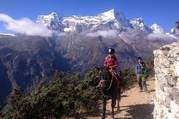 Pferdetrekking zum Everest Panorama (mit oder ohne Kinder), 10 Tage