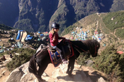 Pferdetrekking zum Everest Panorama (mit oder ohne Kinder), 10 Tage