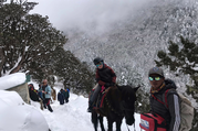 Pferdetrekking zum Everest Panorama (mit oder ohne Kinder), 10 Tage