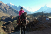 Pferdetrekking zum Everest Panorama (mit oder ohne Kinder), 10 Tage