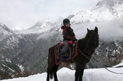 Pferdetrekking zum Everest Panorama (mit oder ohne Kinder), 10 Tage