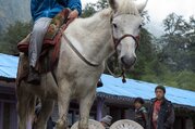 Pferdetrekking zum Annapurna Panorama (mit oder ohne Kinder), 10 Tage