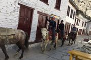 Reittour nach Upper Mustang, 15 Tage