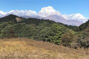 Khopra Ridge Trekking (au sud des Annapurnas), 13 Jours