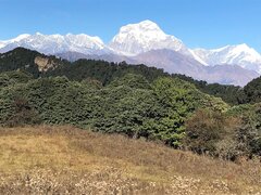 Khopra Ridge Trek (South of Annapurnas), 13 Days 