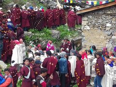 Trekking des festivals