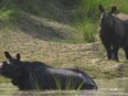 Chitwan Nationalpark