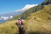 Machhapuchhre Modèle Trekking, 8 Jours