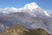 Khopra Danda (Ridge) Trek pour les familles (au sud des Annapurnas), 11 Jours