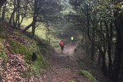 Pikey Gipfel Trekking (Unten Khumbhu Region/Solu), 9 Tage