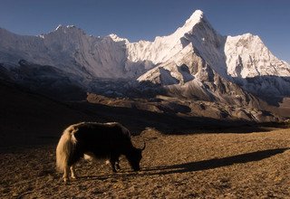 Everest Mani Rimdu Fest Trekking, 12 Tage | November 2024