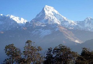 Trek du sanctuaire de l'Annapurna, 14 Jours