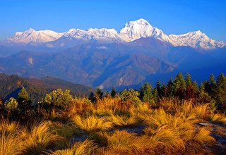 Annapurna Panorama Trekking, 10 Jours