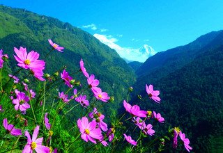 Annapurna Panorama Trekking, 10 Tage