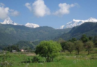 Annapurna Panorama Trekking, 10 Jours