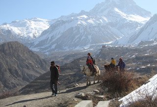 Jomsom Muktinath Trek pour les familles (Vacances parfaites pour la mousson), 10 Jours