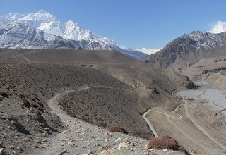 Jomsom-Muktinath Familien Trek (Ideal während des Monsoons), 10 Tage