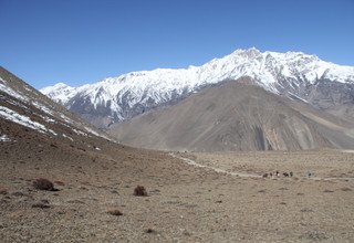 Jomsom-Muktinath Familien Trek (Ideal während des Monsoons), 10 Tage