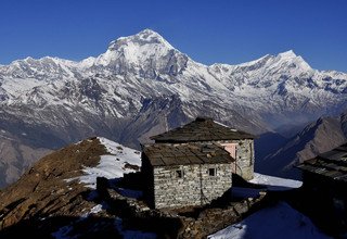 Khopra Danda (Ridge) Trek pour les familles (au sud des Annapurnas), 12 Jours