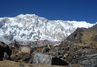 Trek Camp de base avec des enfants d'Annapurna, 14 Jours