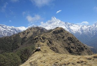 Mardi Himal Trek pour les familles, 10 Jours