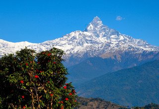 Randonnées d'une journée au départ de Pokhara pour les familles, 7 Jours