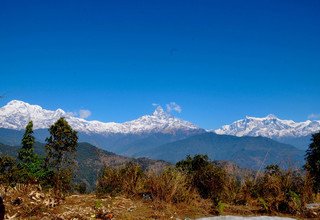 Randonnées d'une journée au départ de Pokhara pour les familles, 7 Jours