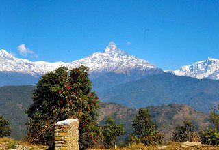 Randonnées d'une journée au départ de Pokhara pour les familles, 7 Jours