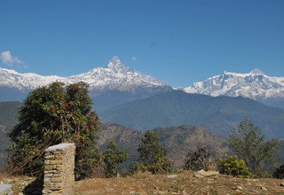 Randonnées d'une journée au départ de Pokhara pour les familles, 7 Jours