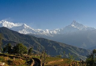 Dhampus-Australian Camp Trek für Familien, 7 Tage