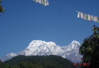 Dhampus-Australian Camp Trek für Familien, 7 Tage