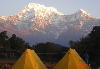 Dhampus-Australian Camp Trek für Familien, 7 Tage