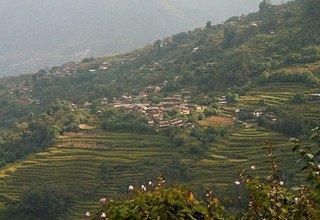 Ghandruk Loop Trek pour les familles, 9 Jours