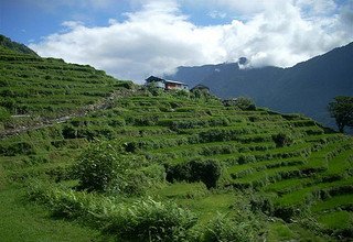 Ghandruk Loop Trek für Familien, 9 Tage