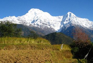 Ghandruk Loop Trek for families, 9 Days