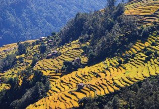 Ghandruk Loop Trek for families, 9 Days