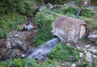 Ghandruk Loop Trek für Familien, 9 Tage