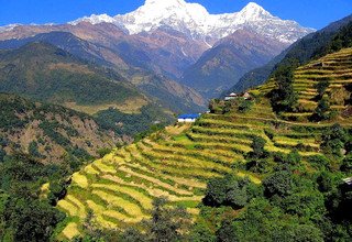 Ghandruk Loop Trek for families, 9 Days