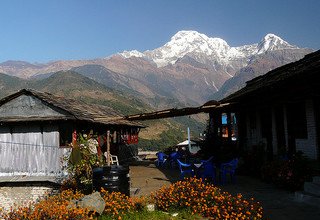 Annapurna Foothills Trek pour les familles, 8 Jours