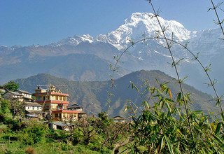 Annapurna Foothills Trek pour les familles, 8 Jours