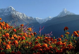 Annapurna Foothills Trek für Familien, 8 Tage