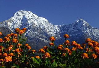 Annapurna Foothills Trek pour les familles, 8 Jours